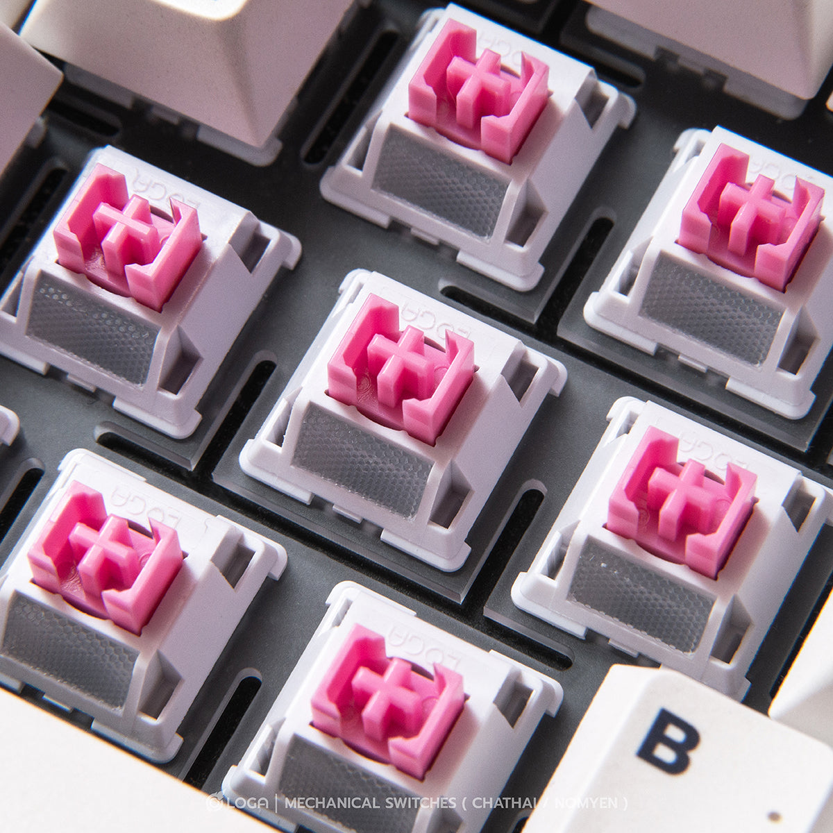 LOGA MECHANICAL KEYBOARD SWITCHES : NOMYEN / CHATHAI / NOMSOD / MATCHA (35 pcs / box ) - NomYen (Linear)